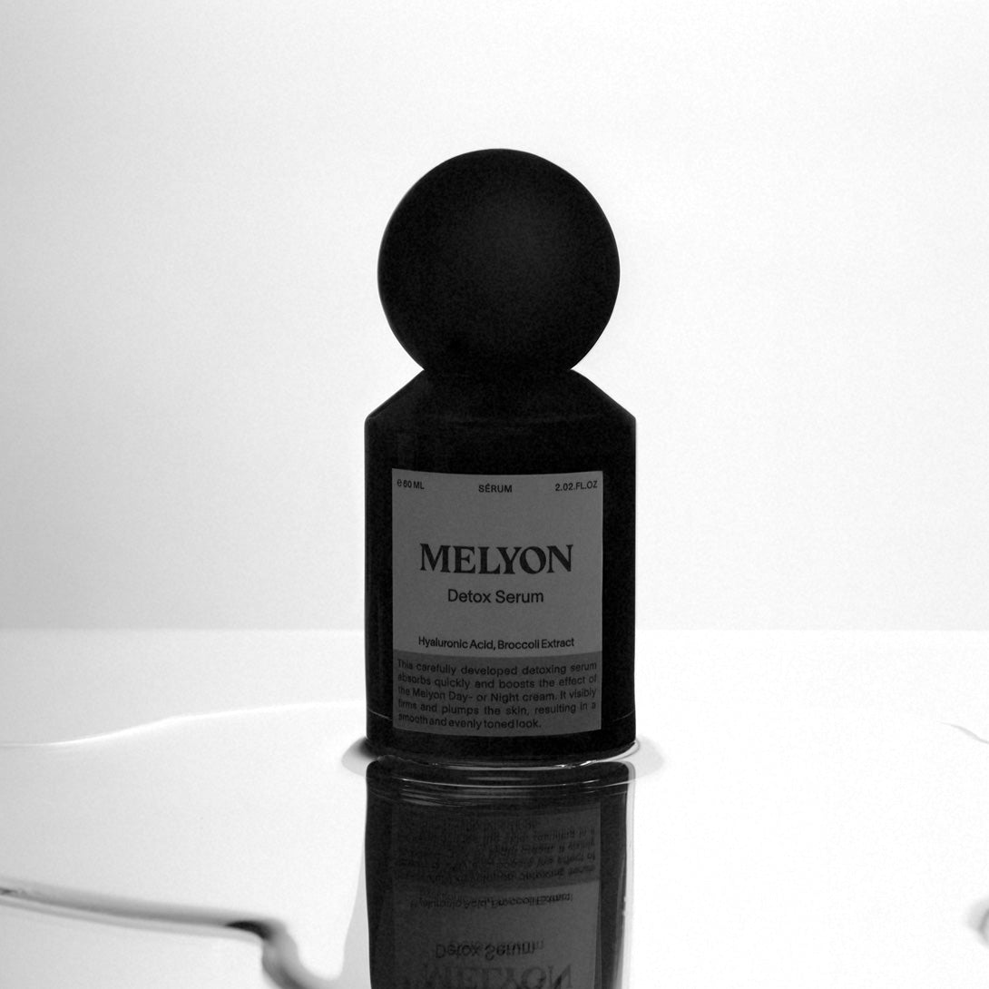 MELYON - Elevastor